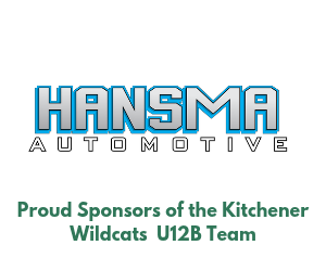 Hansma Automotive Services Inc.